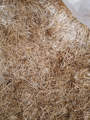 Animal bedding